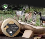 Formaggio di Capra Artigianale Payoya stagionato per oltre 5 mesi - Selezione Speciale Gourmet Ibérico a casa tua con il 100% di latte Payoya di Arriate, Serranía de Ronda - Peso approssimativo 2 kg