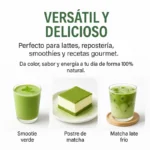 Tè Matcha giapponese di prima qualità 100 g – Biologico, vegano e senza glutine | 100% naturale – Origine Giappone