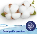 Salviette per neonati Dodot Pure Aqua, 99% acqua, 672 salviette, 14 confezioni (14 x 48) di salviette per neonati (doppio formato) - Image 2