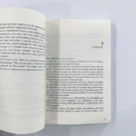Piccolo fungo: Giorno del Giudice e Rivelazioni Romanzo inglese Volume 1+2 Lu Feng x An Zhe Romanzi di fantascienza cinese